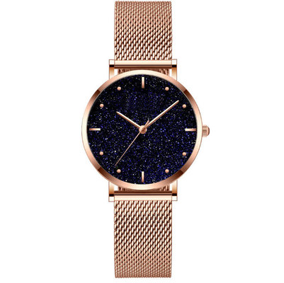 Sky Star Dial Modern Ladies Watches , Women'S Quartz Stainless Steel Casual Watch