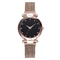 New arrival magnetic strap watch fashion sky dial watch