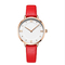 Customized brand pvd coating female wristwatch with genuine leather strap