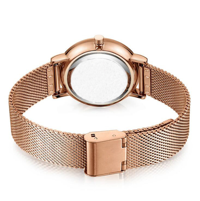 3ATM Waterproof SS316L Case Mesh Strap Watch  IP Plating Color