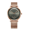 3ATM Waterproof SS316L Case Mesh Strap Watch  IP Plating Color